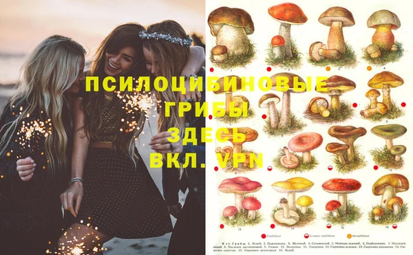 тгк Баксан