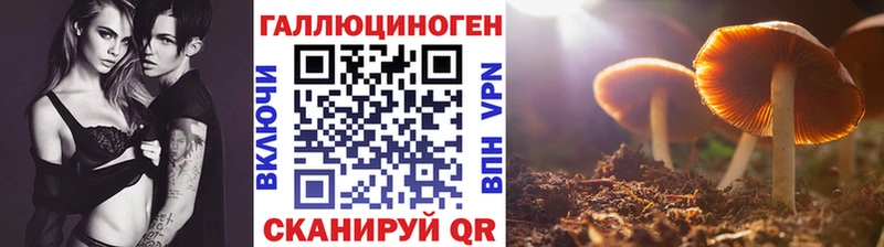 Галлюциногенные грибы Psilocybine cubensis Нижние Серги